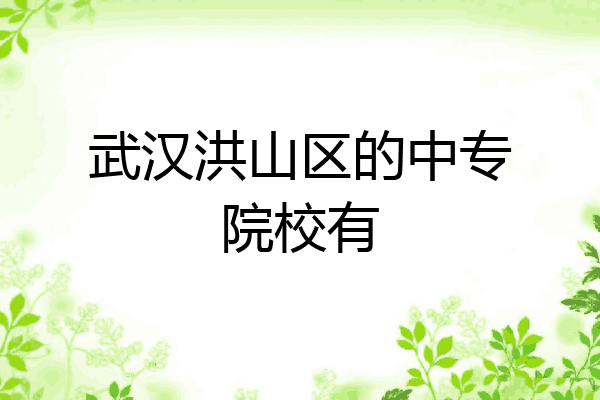 武汉洪山区的中专院校有