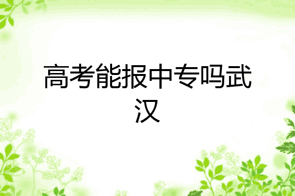 高考能报中专吗武汉
