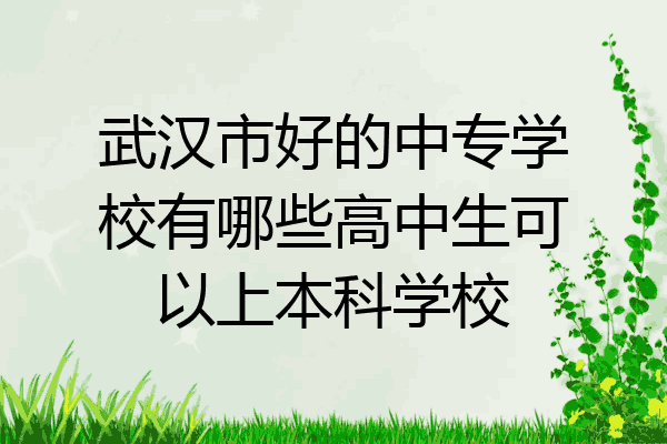 武汉市好的中专学校有哪些高中生可以上本科学校