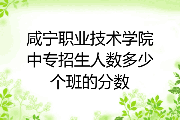 咸宁职业技术学院中专招生人数多少个班的分数