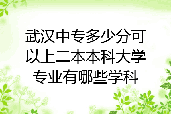 武汉中专多少分可以上二本本科大学专业有哪些学科