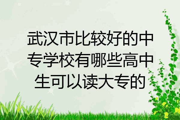 武汉市比较好的中专学校有哪些高中生可以读大专的