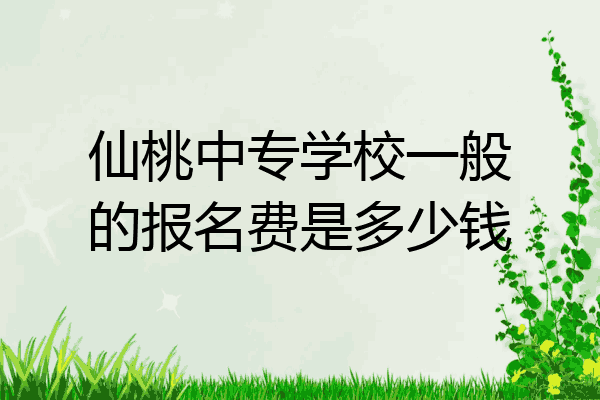 仙桃中专学校一般的报名费是多少钱
