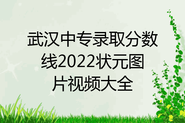 武汉中专录取分数线2022状元图片视频大全