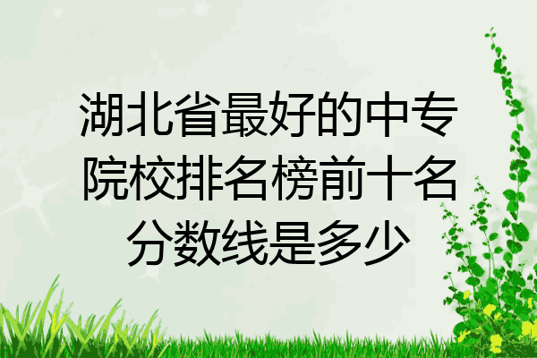 湖北省最好的中专院校排名榜前十名分数线是多少