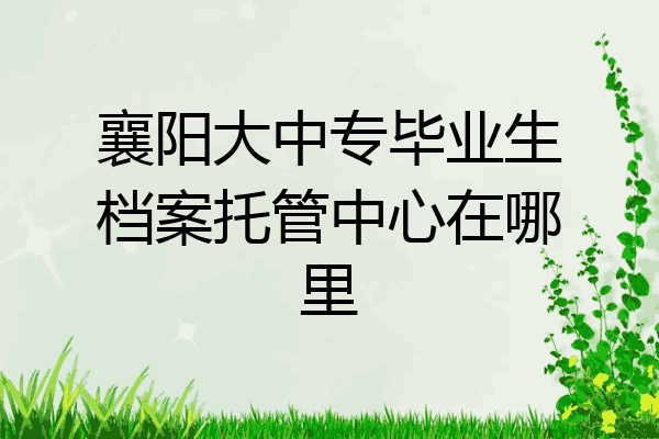 襄阳大中专毕业生档案托管中心在哪里