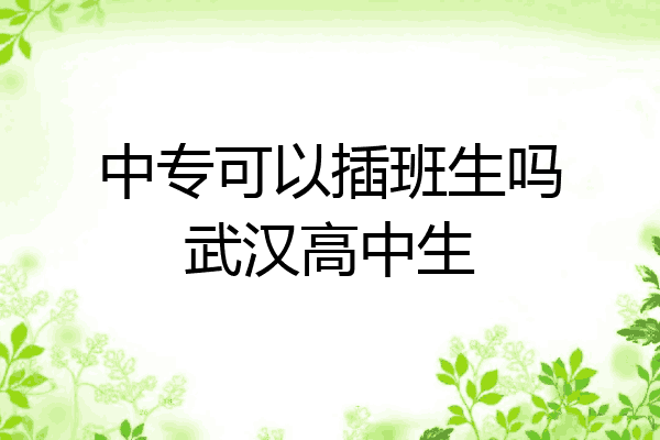 中专可以插班生吗武汉高中生