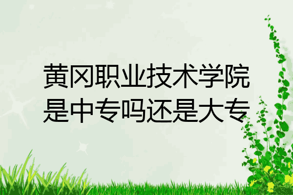黄冈职业技术学院是中专吗还是大专