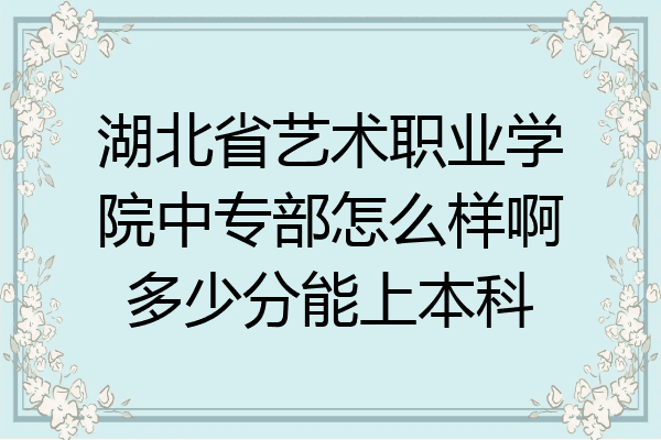 湖北省艺术职业学院中专部怎么样啊多少分能上本科
