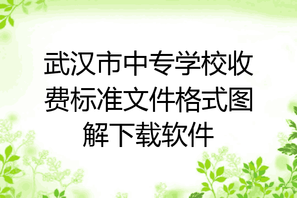 武汉市中专学校收费标准文件格式图解下载软件