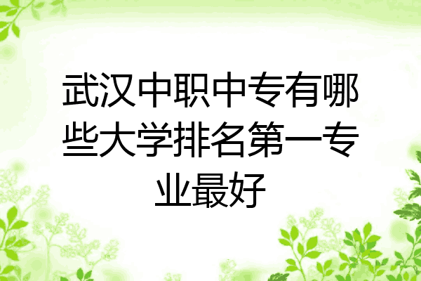 武汉中职中专有哪些大学排名第一专业最好