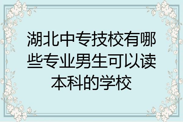湖北中专技校有哪些专业男生可以读本科的学校
