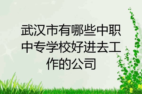武汉市有哪些中职中专学校好进去工作的公司