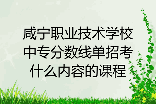咸宁职业技术学校中专分数线单招考什么内容的课程