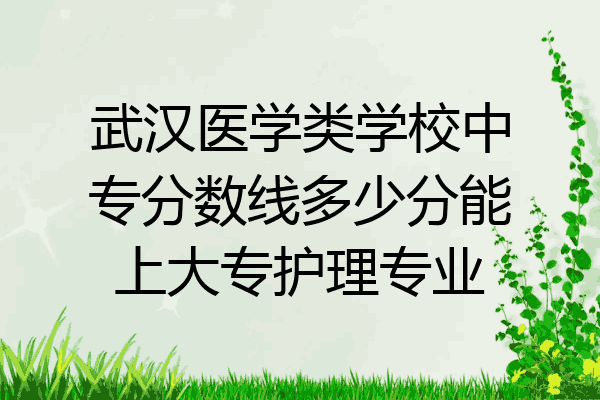 武汉医学类学校中专分数线多少分能上大专护理专业