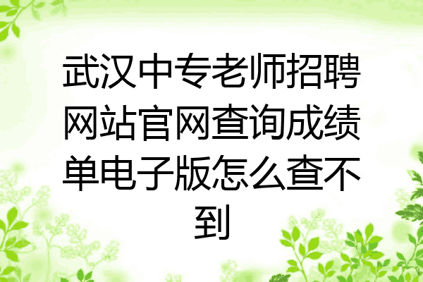 武汉中专老师招聘网站官网查询成绩单电子版怎么查不到