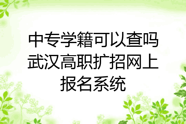 中专学籍可以查吗武汉高职扩招网上报名系统