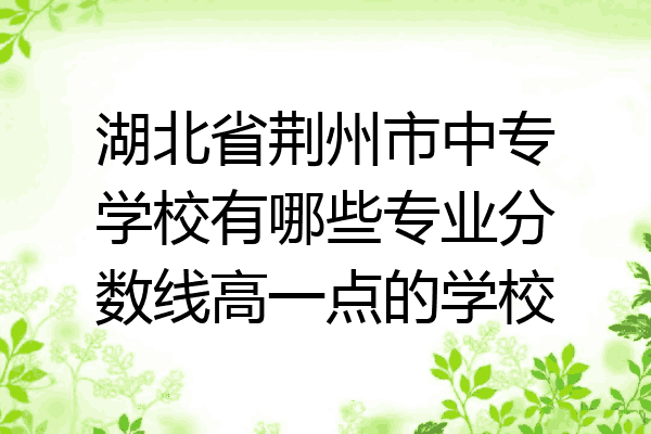 湖北省荆州市中专学校有哪些专业分数线高一点的学校