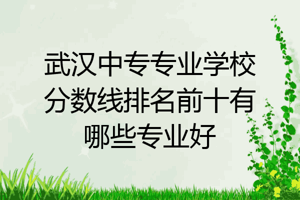 武汉中专专业学校分数线排名前十有哪些专业好