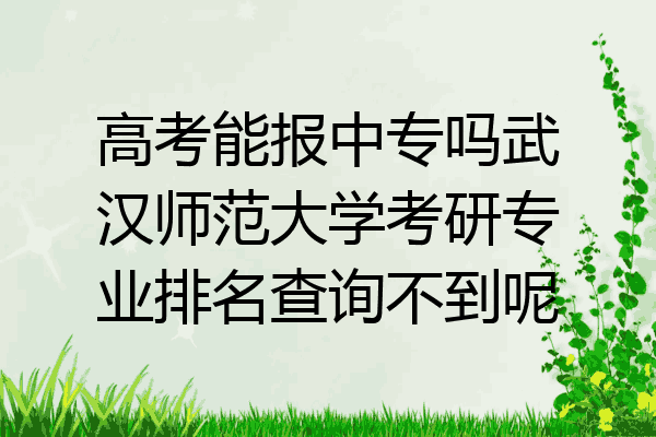 高考能报中专吗武汉师范大学考研专业排名查询不到呢