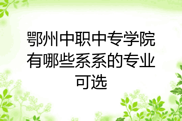 鄂州中职中专学院有哪些系系的专业可选