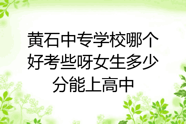 黄石中专学校哪个好考些呀女生多少分能上高中