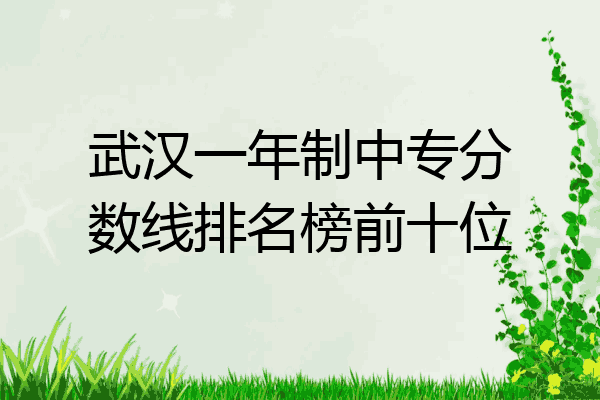 武汉一年制中专分数线排名榜前十位