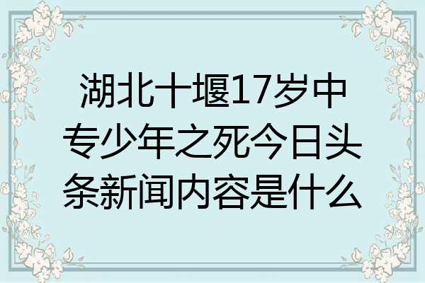 湖北十堰17岁中专少年之死今日头条新闻内容是什么