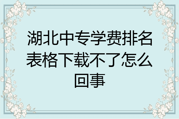 湖北中专学费排名表格下载不了怎么回事