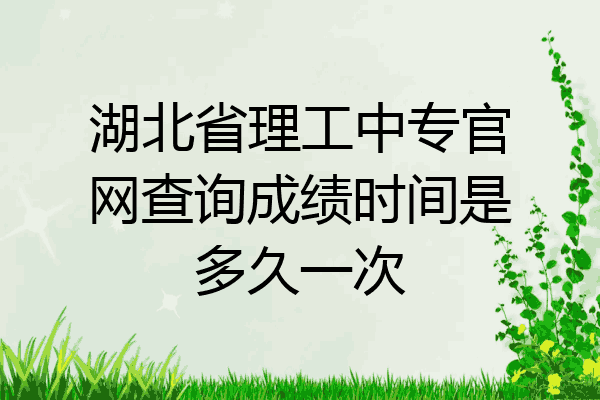湖北省理工中专官网查询成绩时间是多久一次