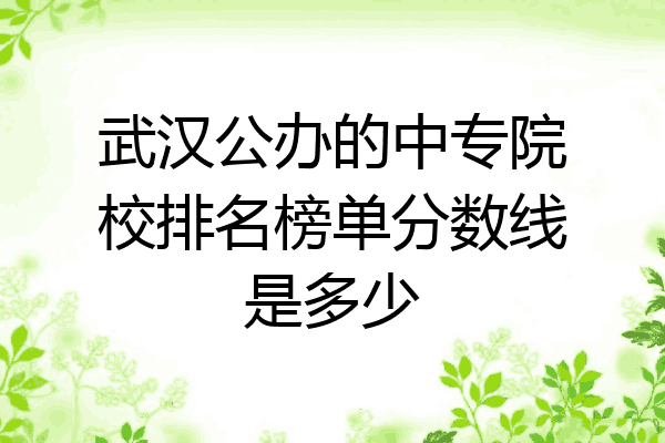 武汉公办的中专院校排名榜单分数线是多少