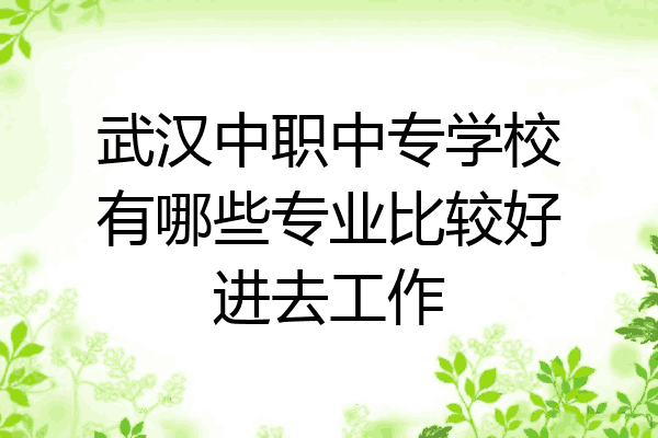 武汉中职中专学校有哪些专业比较好进去工作