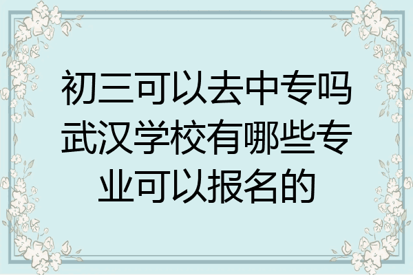 初三可以去中专吗武汉学校有哪些专业可以报名的