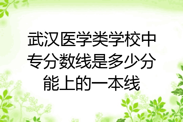 武汉医学类学校中专分数线是多少分能上的一本线