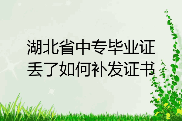 湖北省中专毕业证丢了如何补发证书