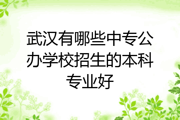 武汉有哪些中专公办学校招生的本科专业好