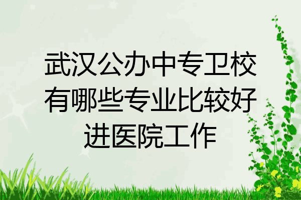 武汉公办中专卫校有哪些专业比较好进医院工作
