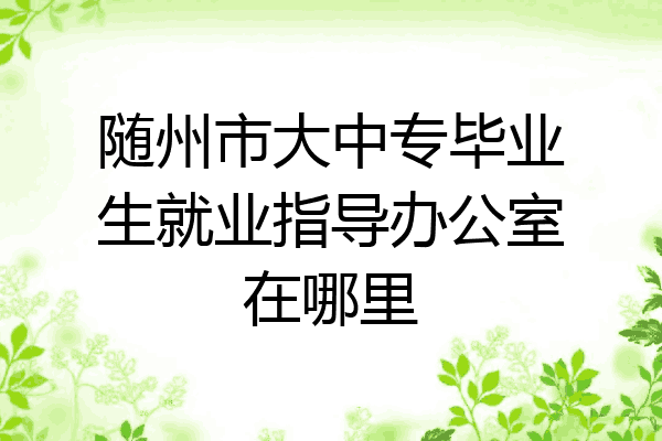 随州市大中专毕业生就业指导办公室在哪里