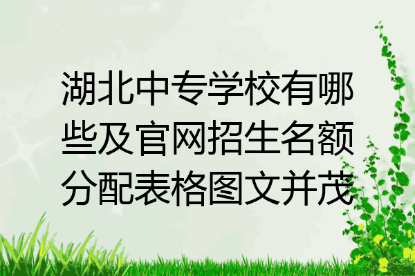 湖北中专学校有哪些及官网招生名额分配表格图文并茂