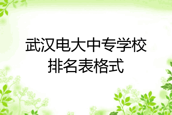 武汉电大中专学校排名表格式
