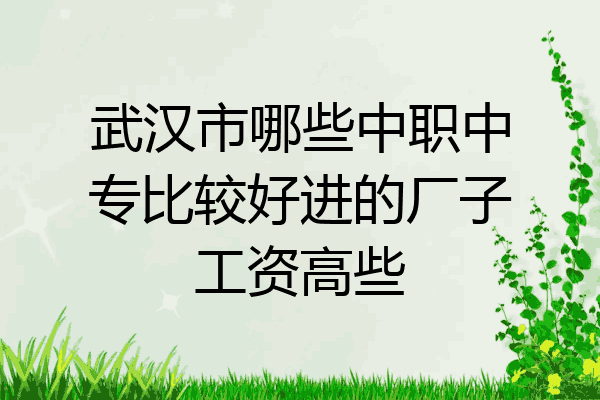 武汉市哪些中职中专比较好进的厂子工资高些