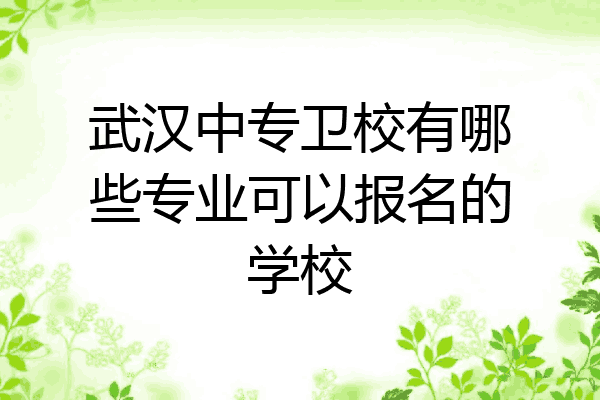 武汉中专卫校有哪些专业可以报名的学校