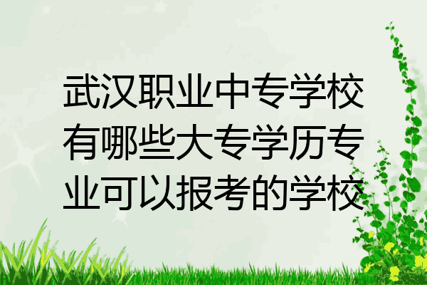武汉职业中专学校有哪些大专学历专业可以报考的学校