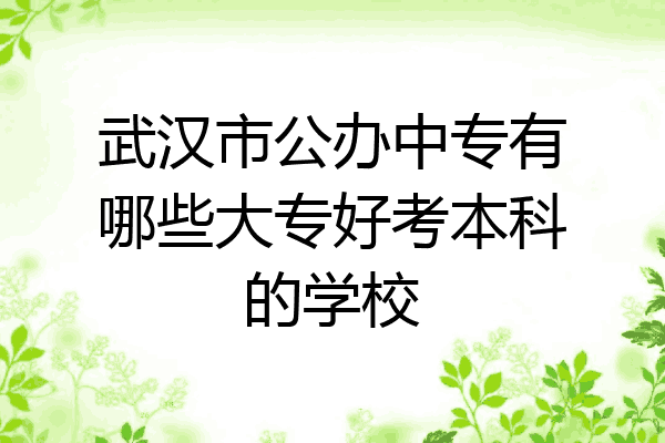 武汉市公办中专有哪些大专好考本科的学校
