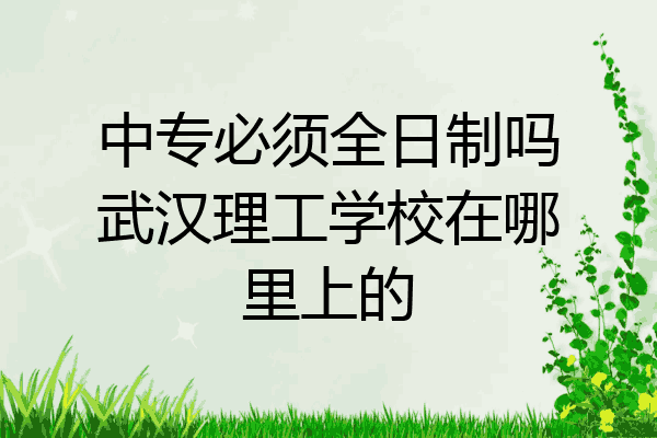 中专必须全日制吗武汉理工学校在哪里上的