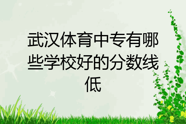 武汉体育中专有哪些学校好的分数线低