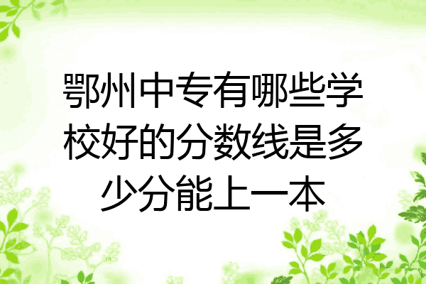 鄂州中专有哪些学校好的分数线是多少分能上一本