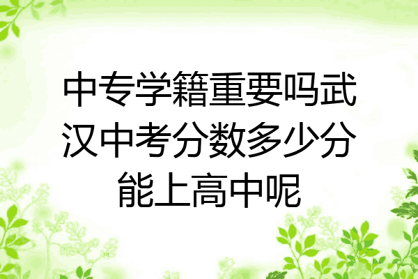 中专学籍重要吗武汉中考分数多少分能上高中呢