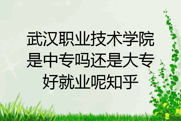 武汉职业技术学院是中专吗还是大专好就业呢知乎