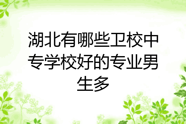 湖北有哪些卫校中专学校好的专业男生多